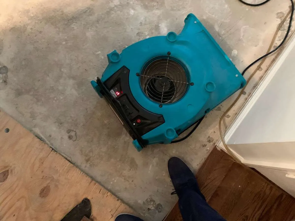 Air mover drying subfloor during Leak Detection & Repair in Geddes